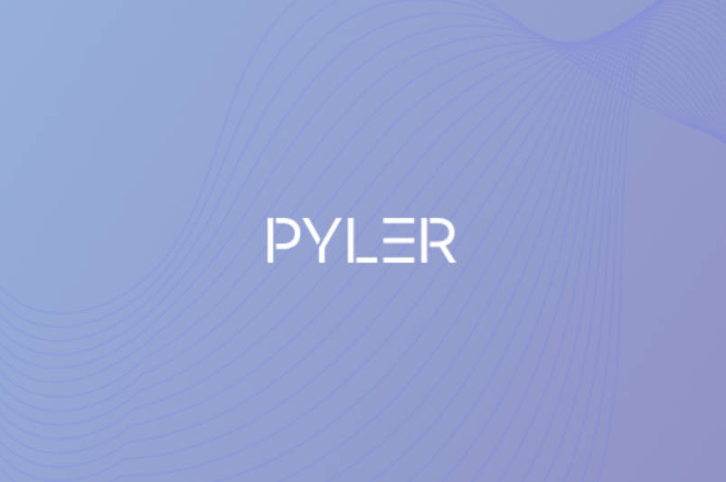 파일러 조직 이미지