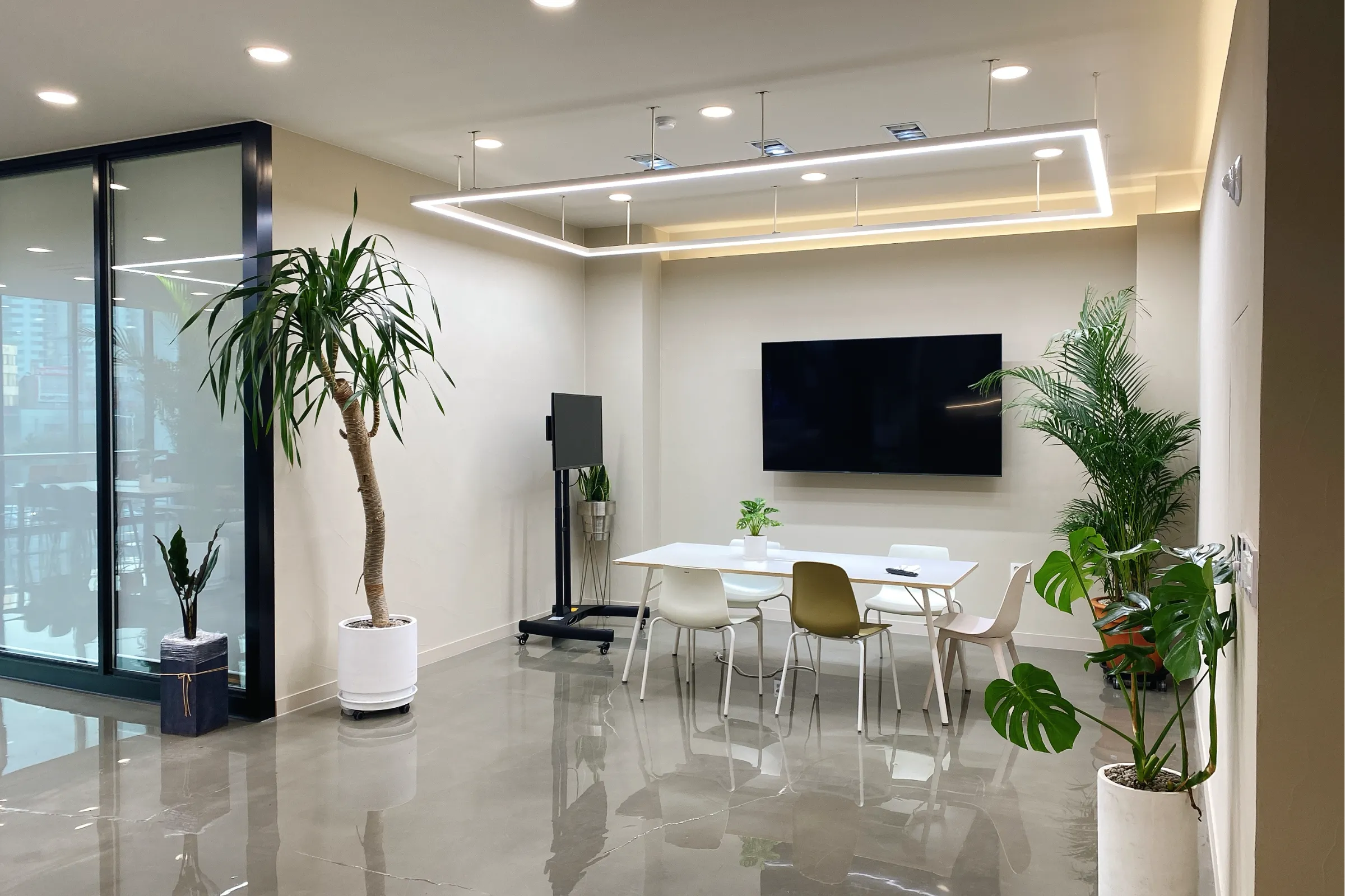 크로마엑스(다슈코리아) 조직 이미지 7