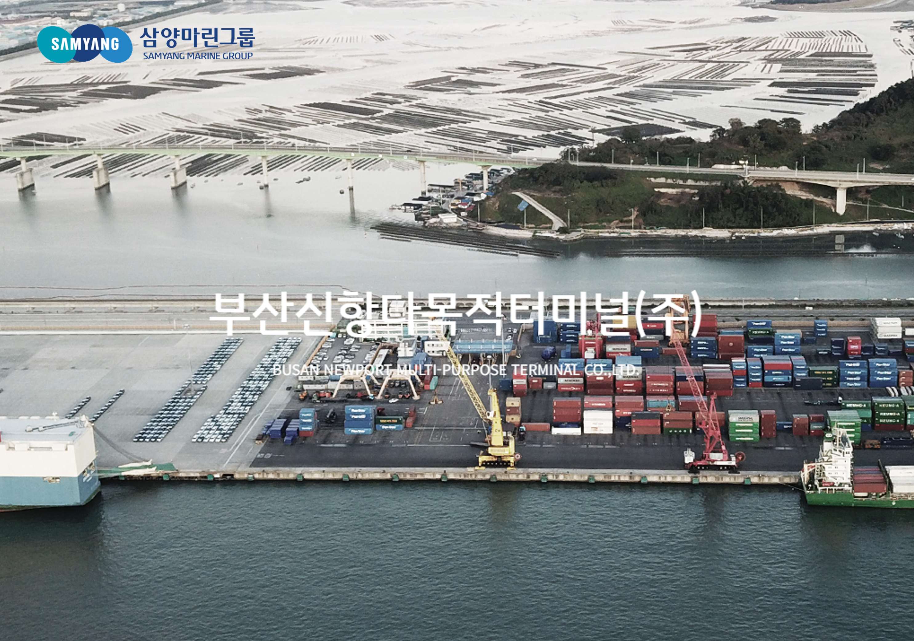 부산신항다목적터미널(주) 조직 이미지