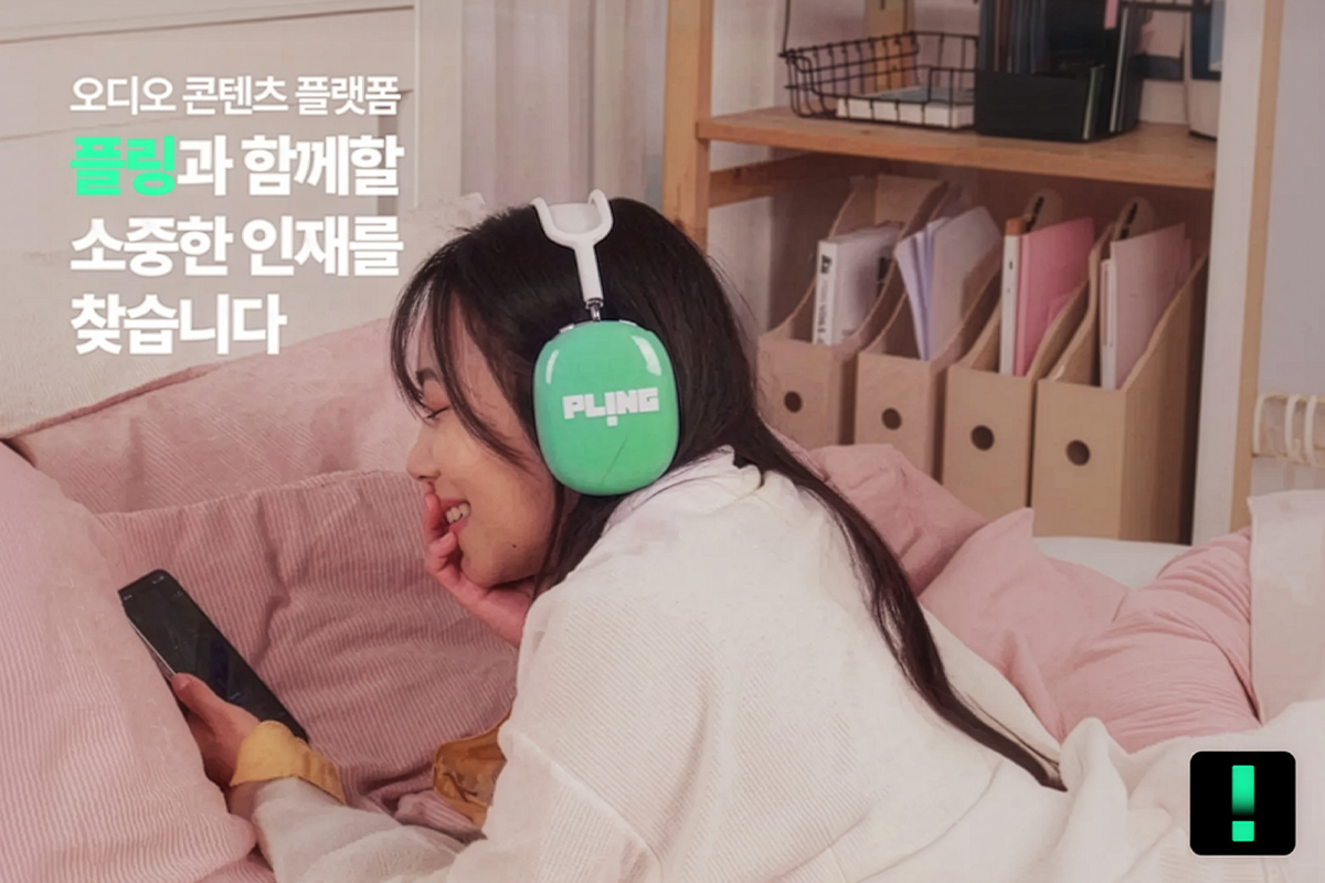 (주)플링캐스트 조직 이미지