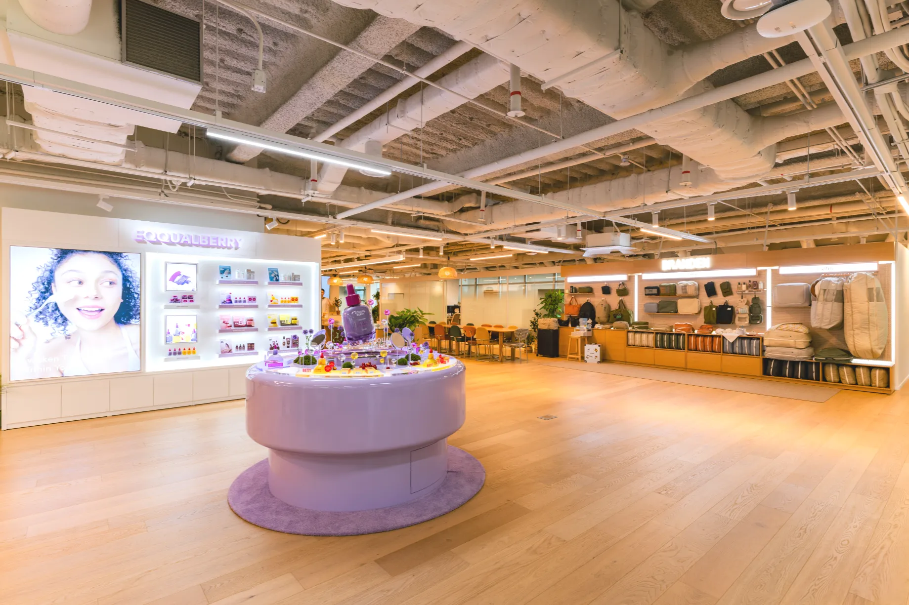 (주)부스터스 조직 이미지 3