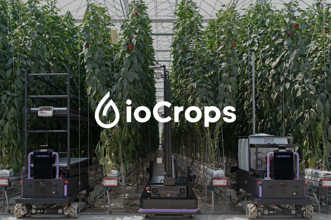 아이오크롭스(주) 조직 이미지