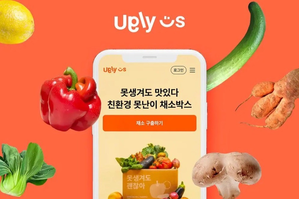 (주)캐비지 조직 이미지