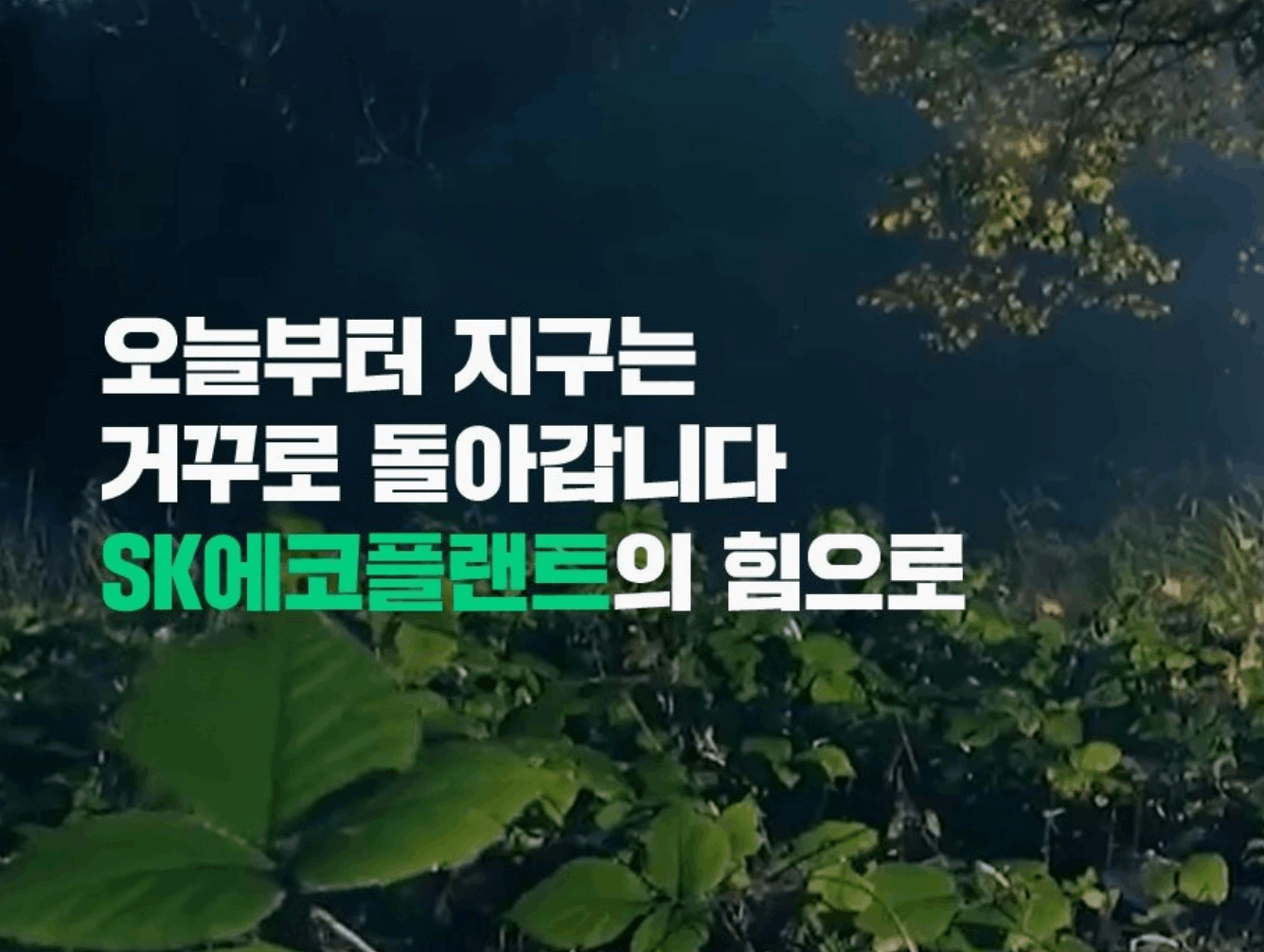 SK에코플랜트(주) 조직 이미지