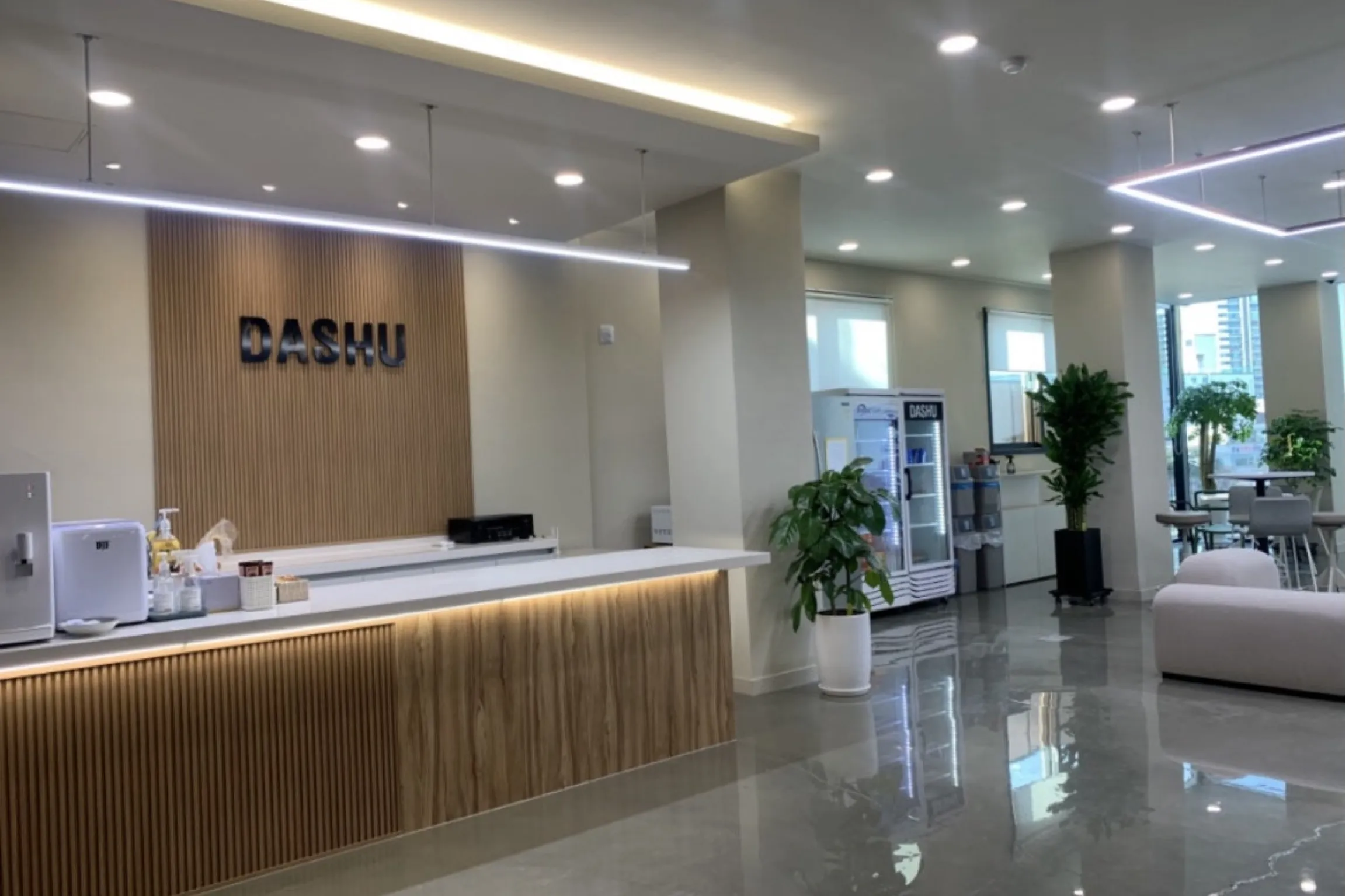 크로마엑스(다슈코리아) 조직 이미지 4