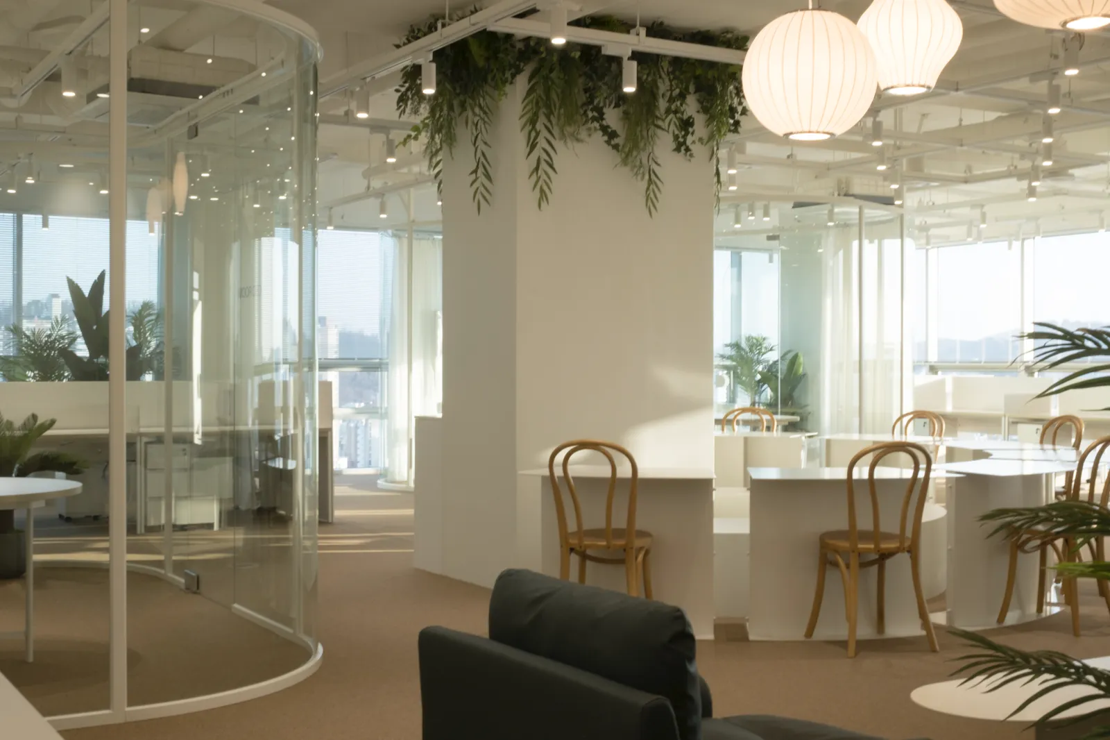 (주)와이트라이브 조직 이미지 1