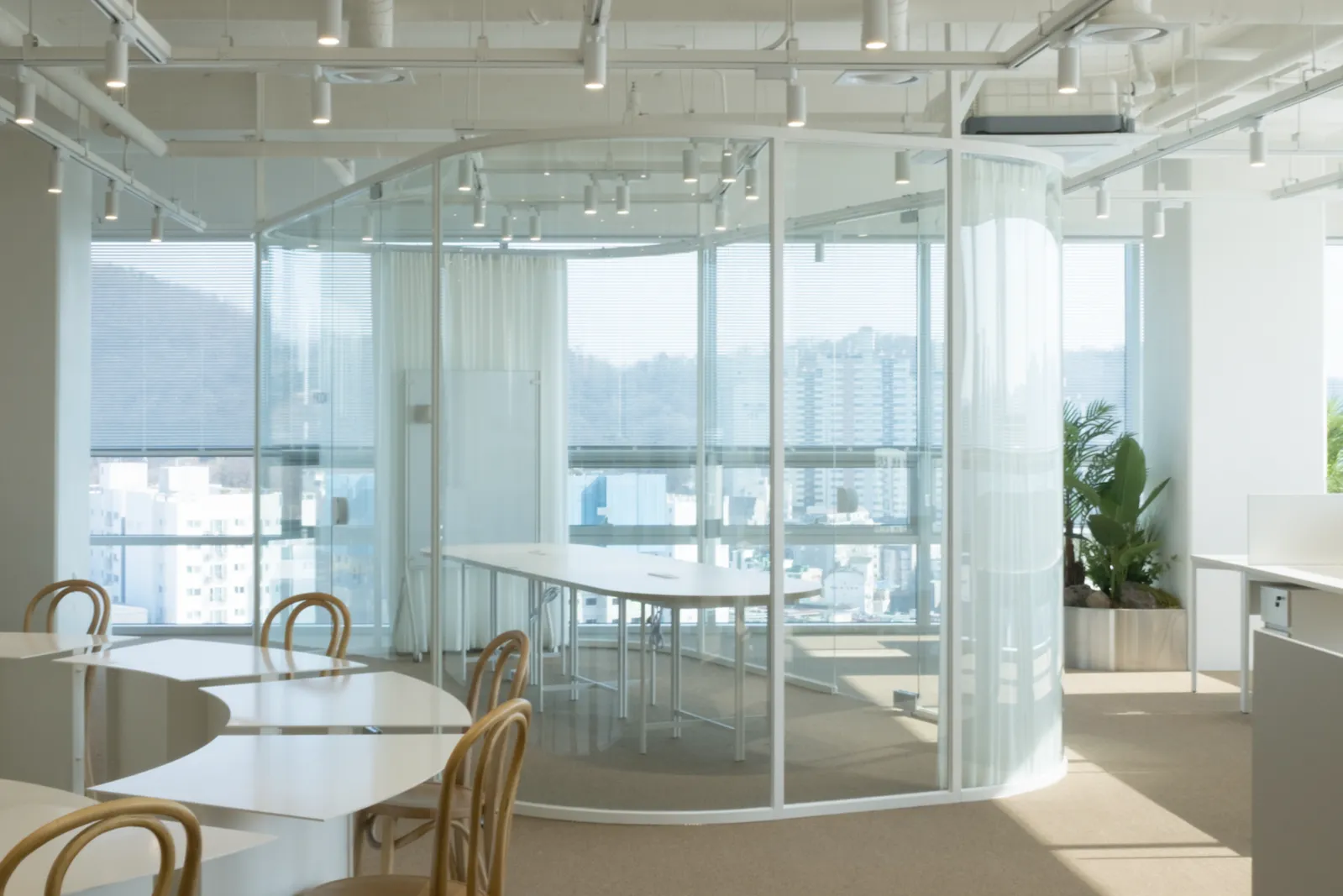 (주)와이트라이브 조직 이미지 0