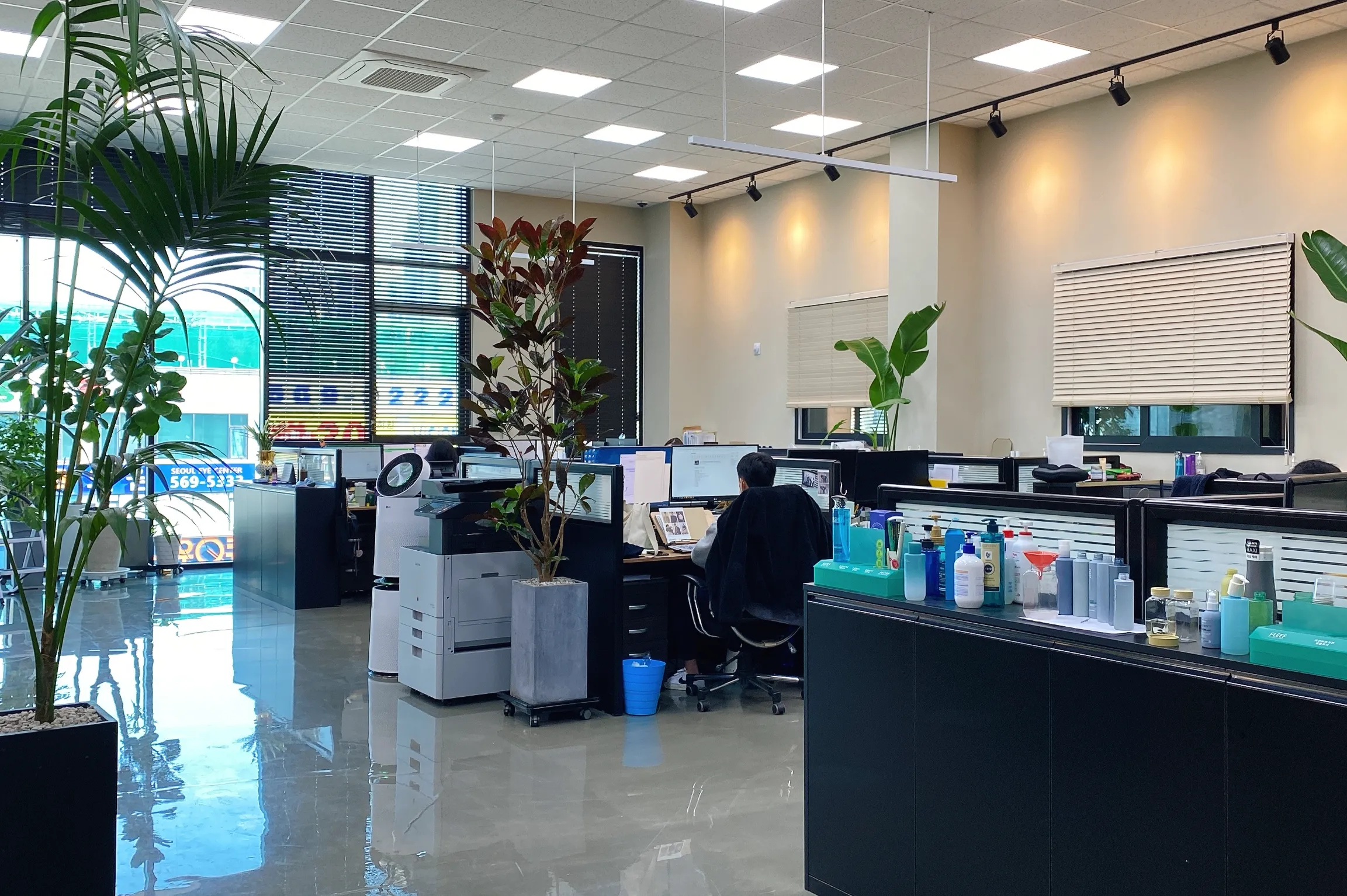 크로마엑스(다슈코리아) 조직 이미지 6