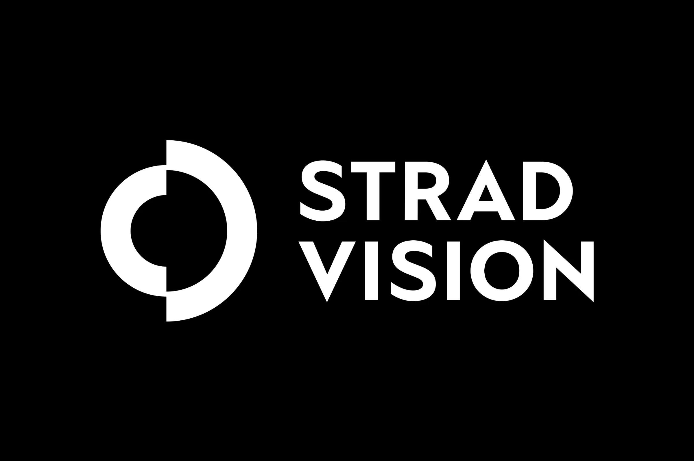 (주)스트라드비젼 조직 이미지