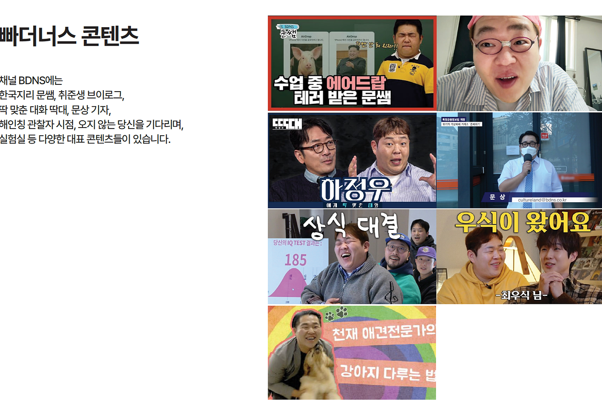 (주)비디앤에스 조직 이미지