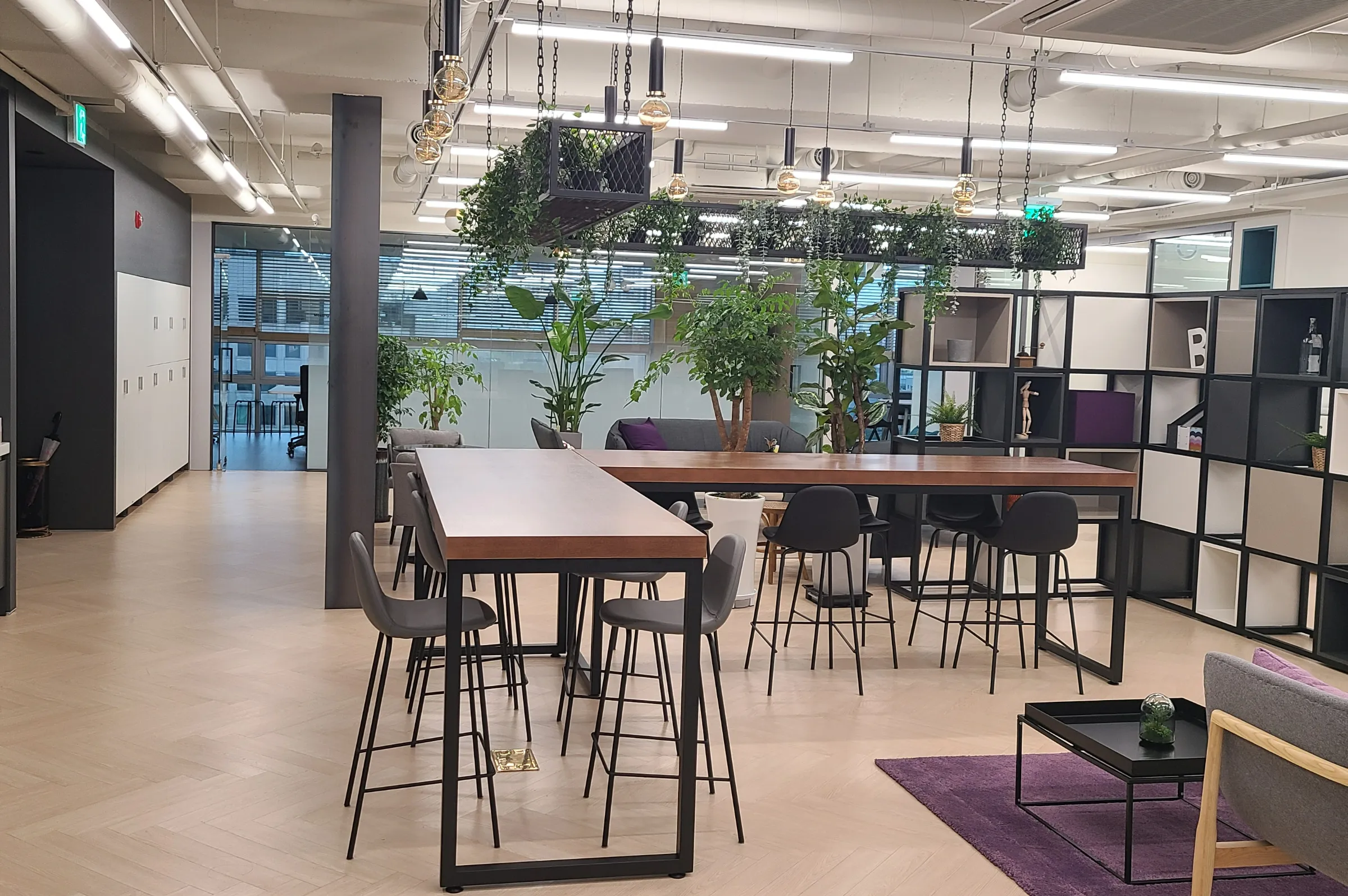 온코닉테라퓨틱스(주) 조직 이미지 1