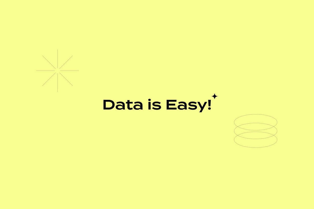 (주)데이터라이즈 조직 이미지