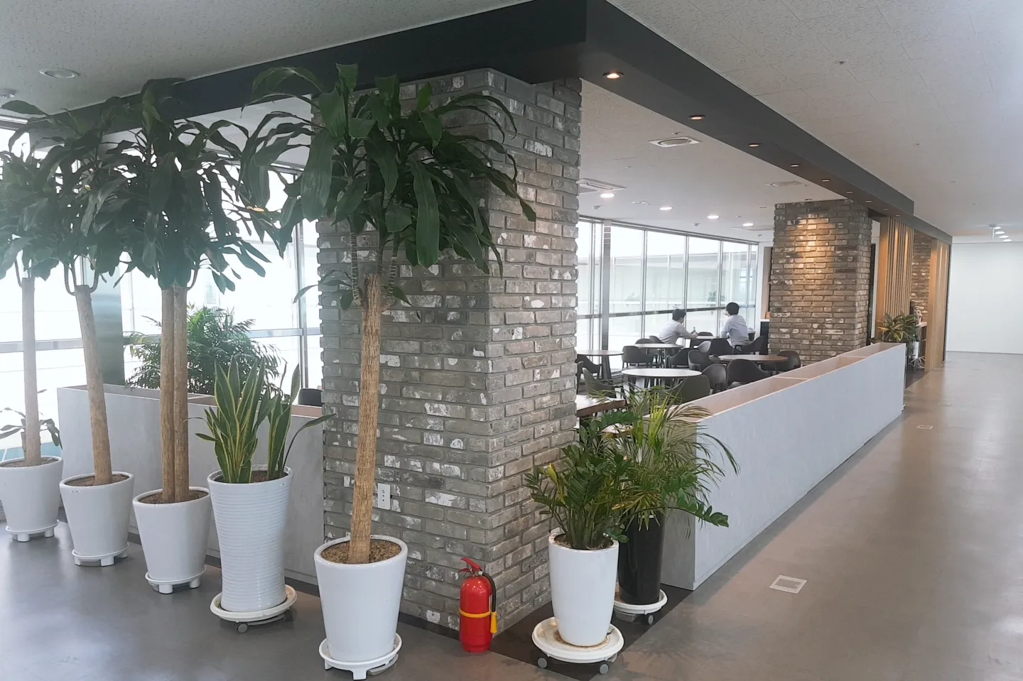 (주)엔클로니 조직 이미지 4