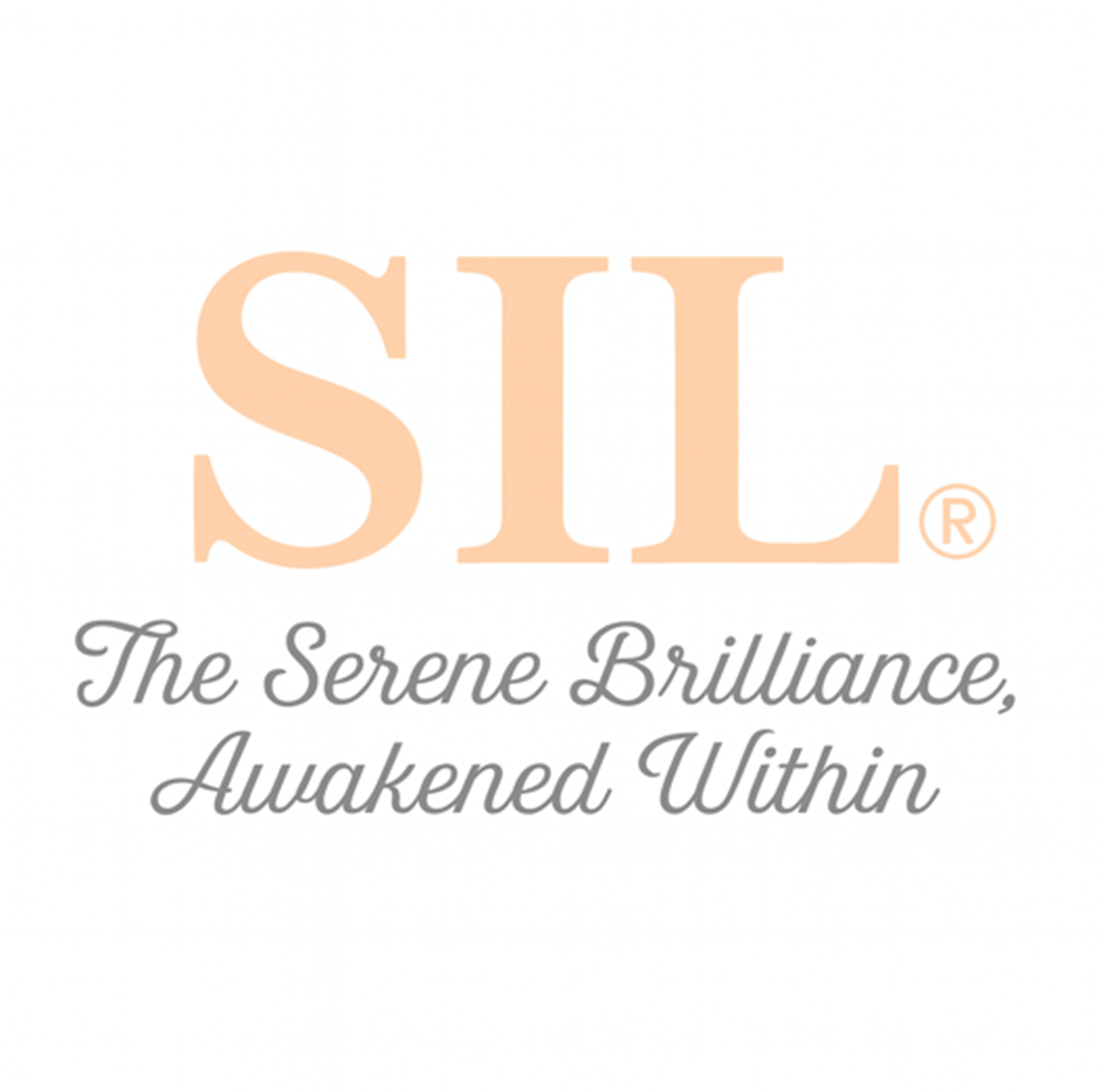 (주)실 조직 이미지 2