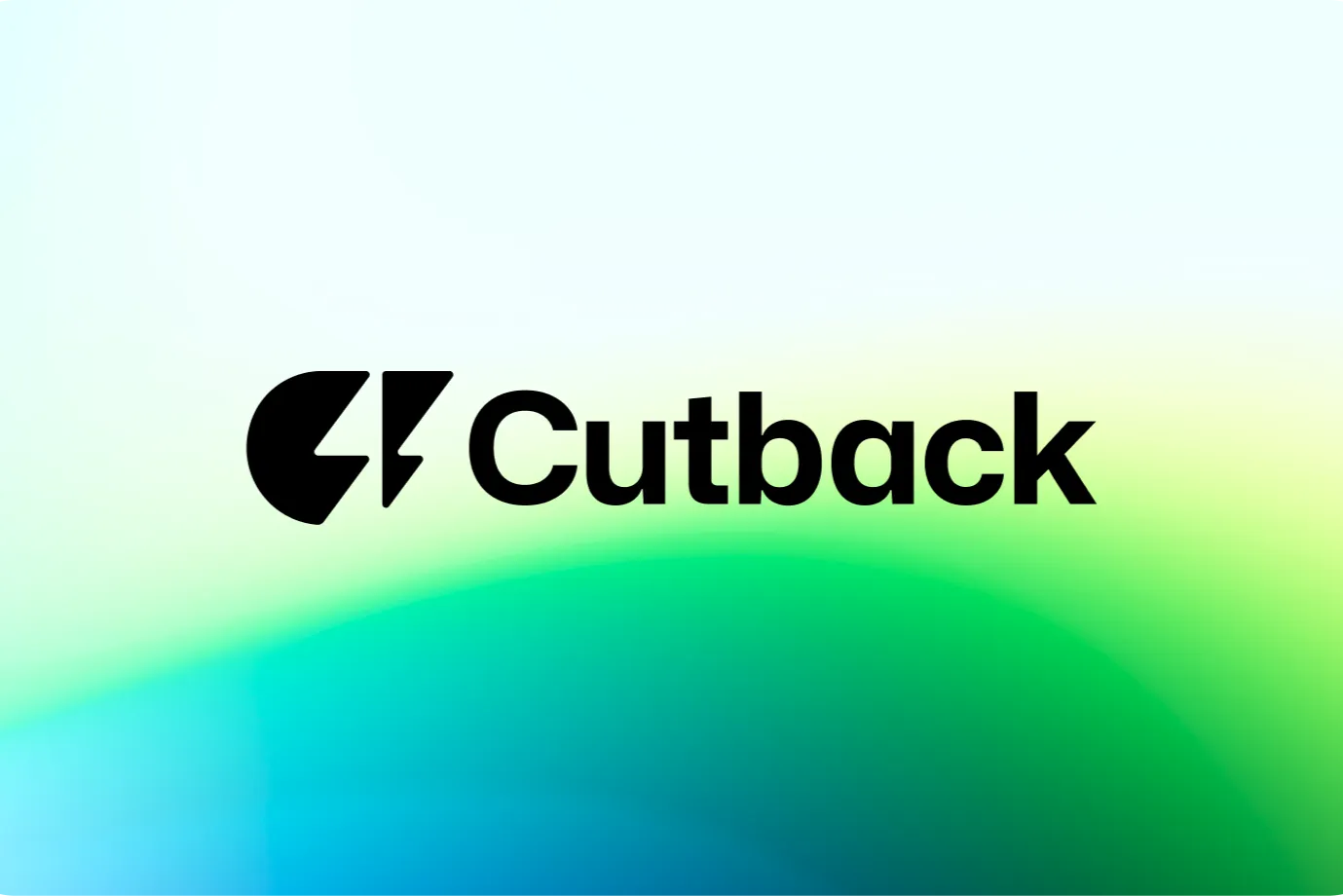 (주)컷백 조직 이미지