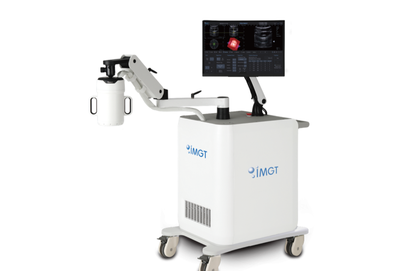 (주)아이엠지티 조직 이미지