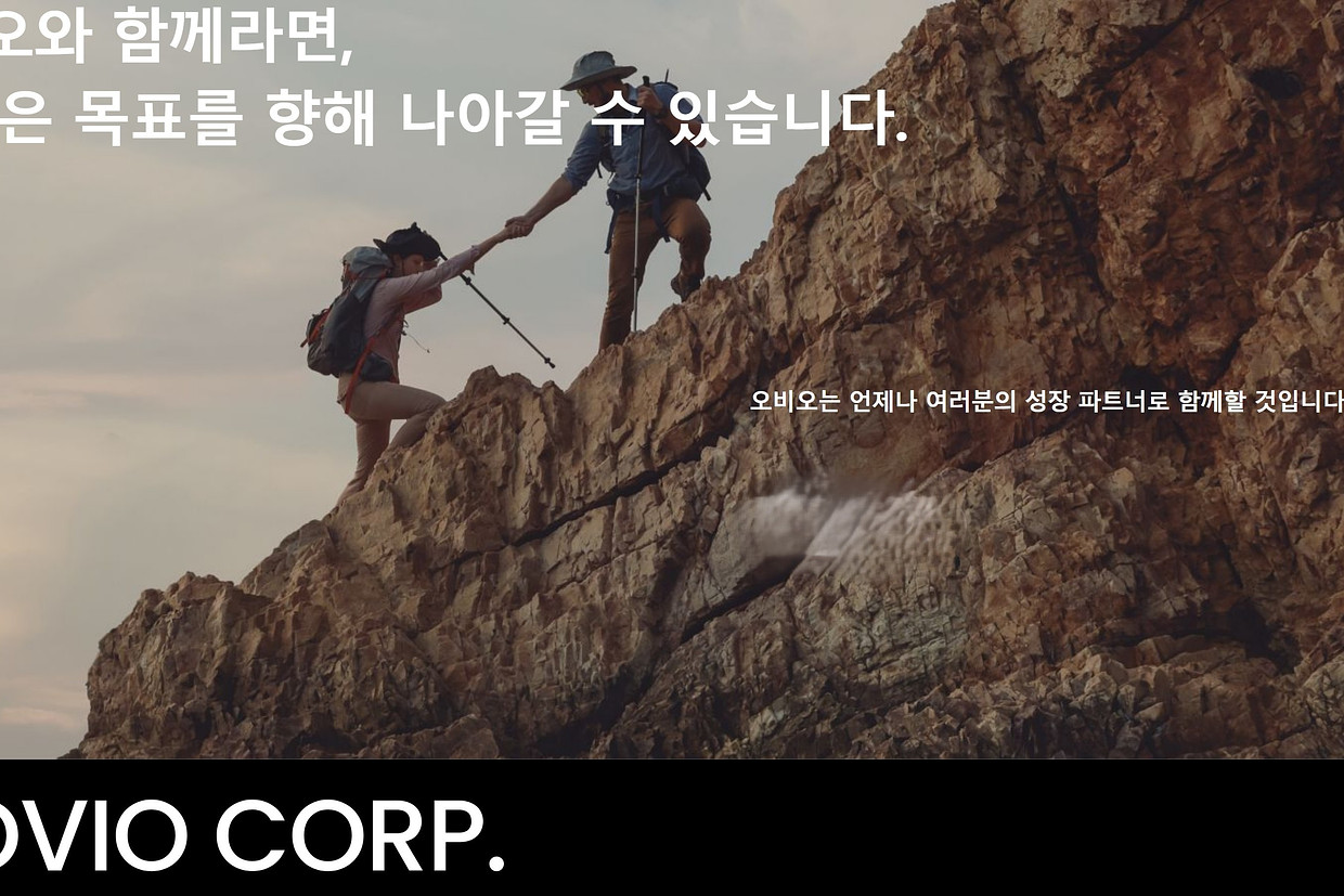 오비오(주) 조직 이미지