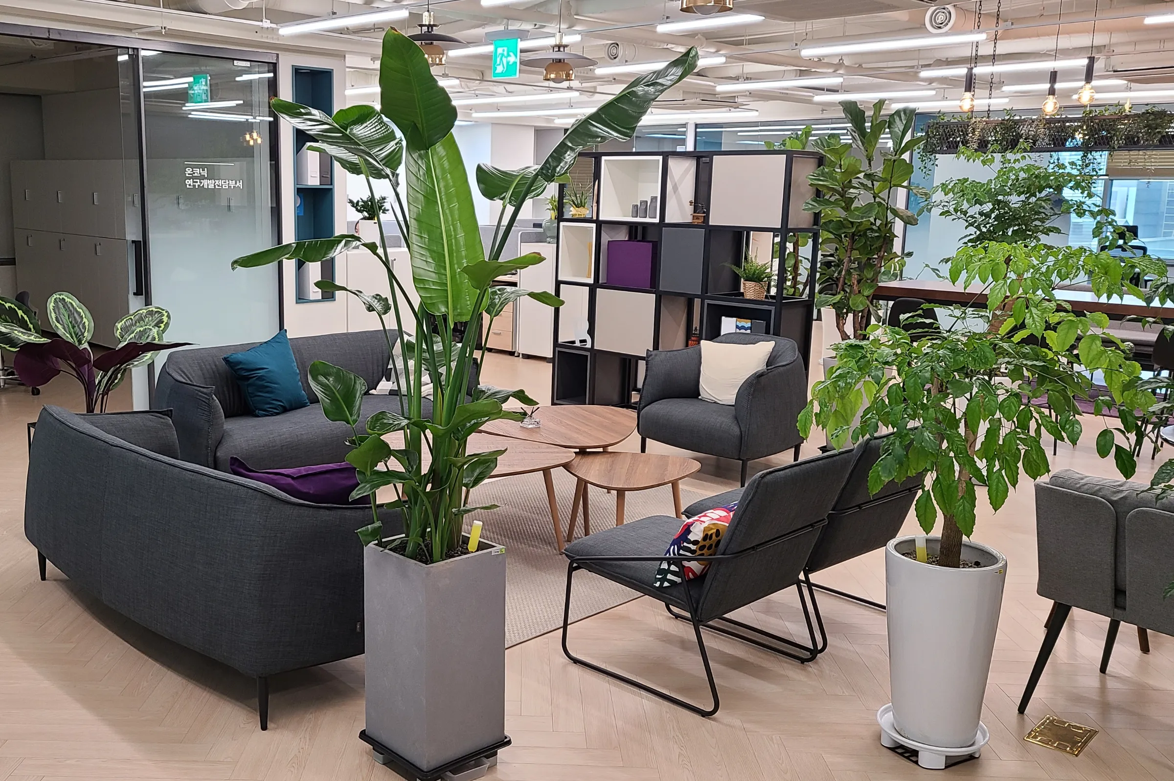 온코닉테라퓨틱스(주) 조직 이미지 0