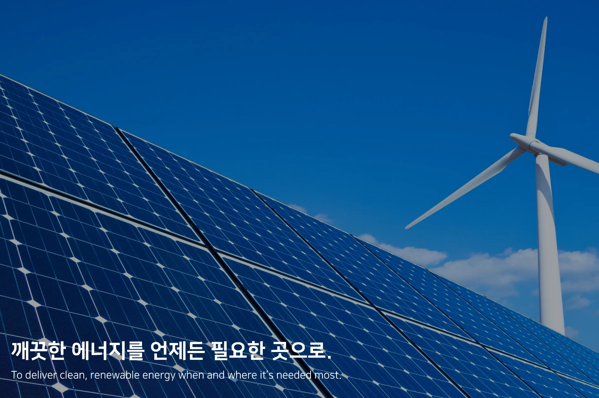 (주)브이피피랩 조직 이미지 0