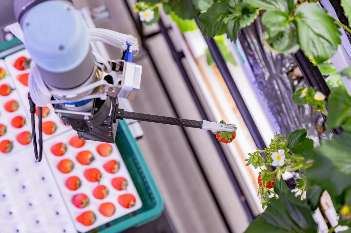 (주)메타파머스 조직 이미지 0