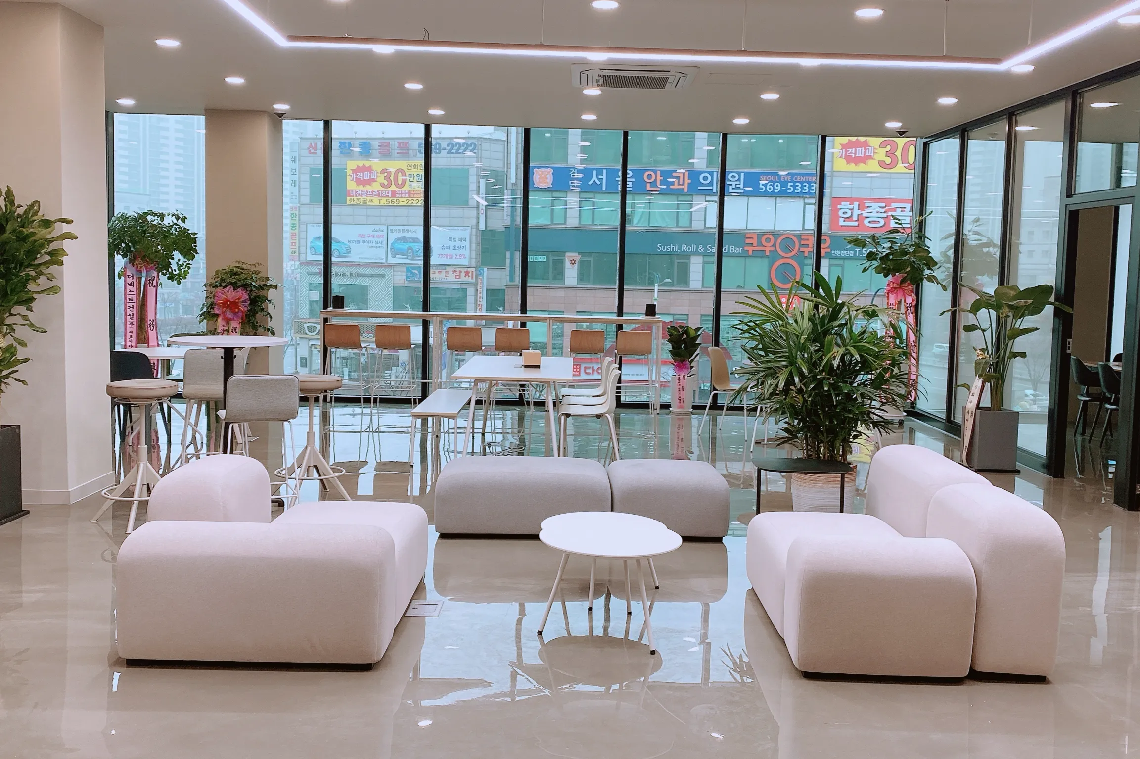 크로마엑스(다슈코리아) 조직 이미지 5