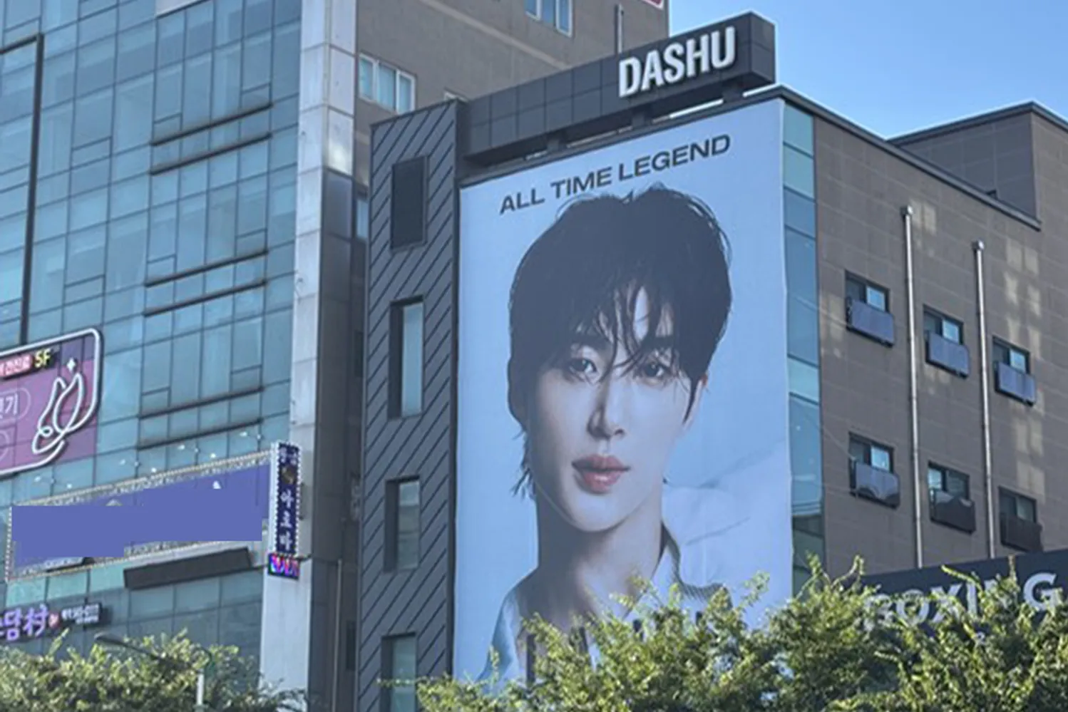 크로마엑스(다슈코리아) 조직 이미지 8