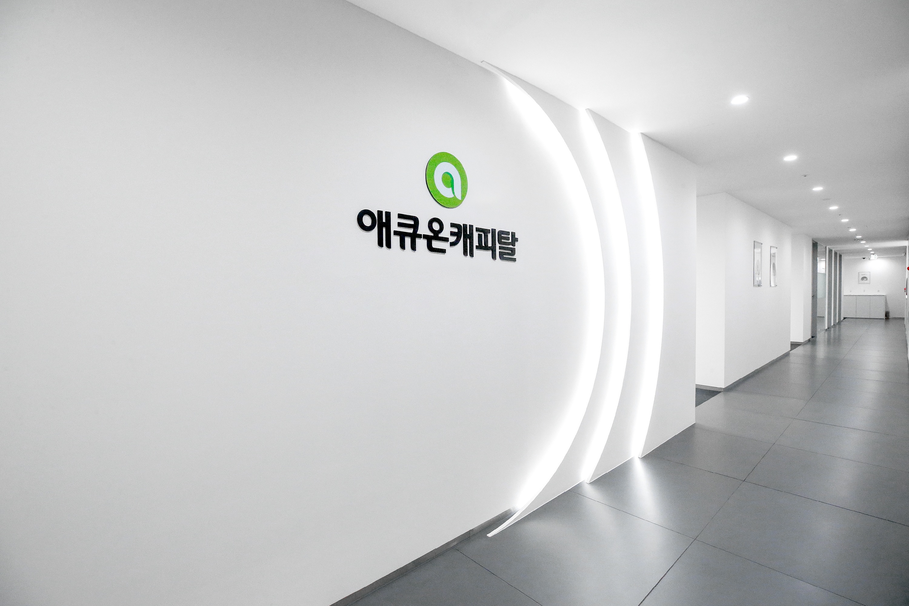 (주)애큐온캐피탈 조직 이미지 1