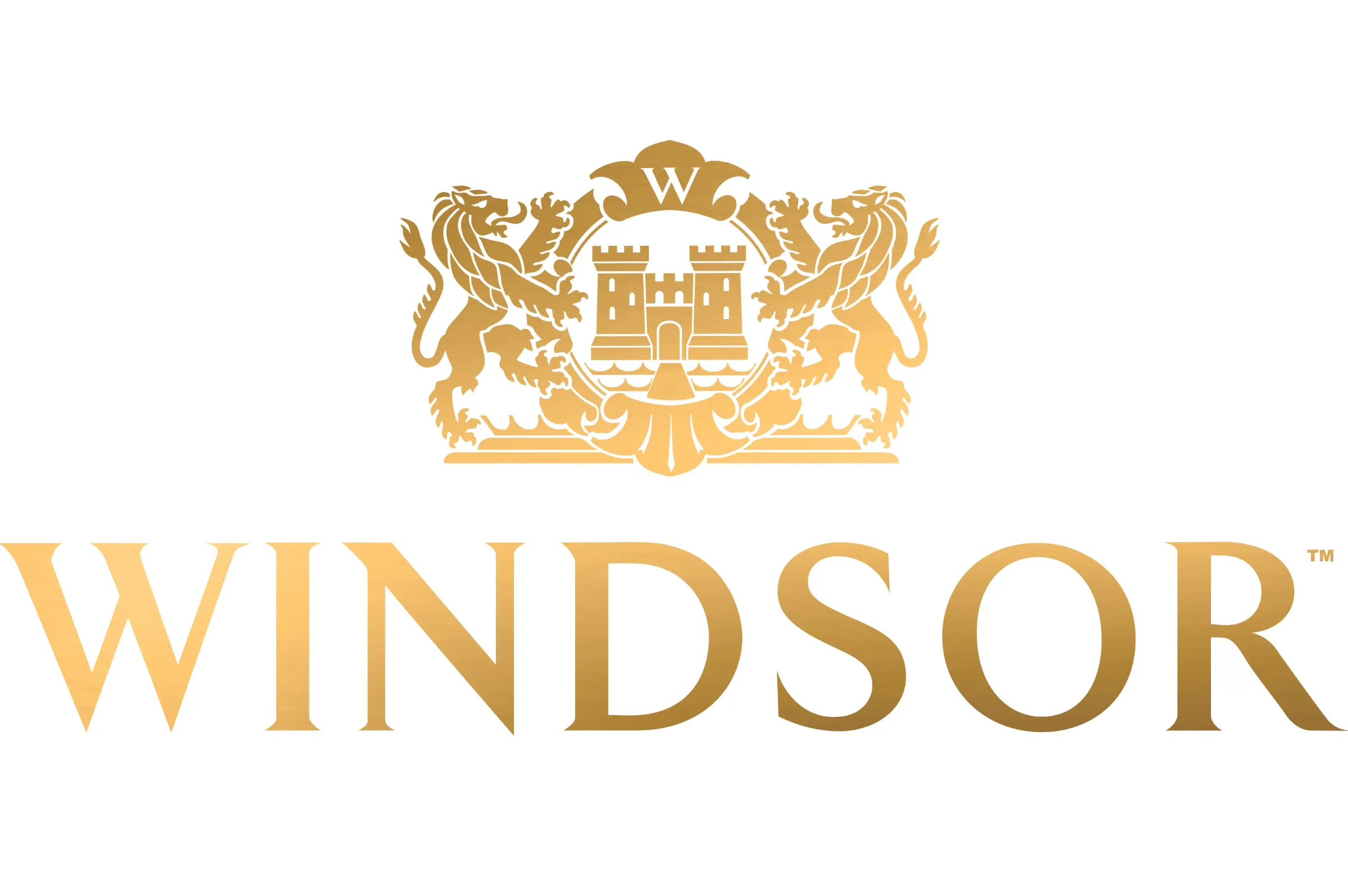 윈저글로벌(주) 조직 이미지